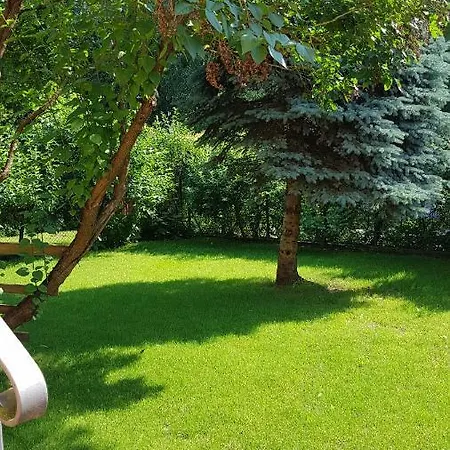 Komfortowe Studio Brzeziny Lägenhet Olsztyn (Warmian-Masurian)