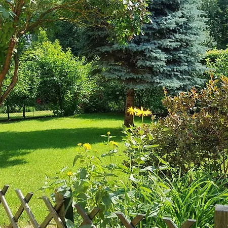 Komfortowe Studio Brzeziny * Olsztyn (Warmian-Masurian)